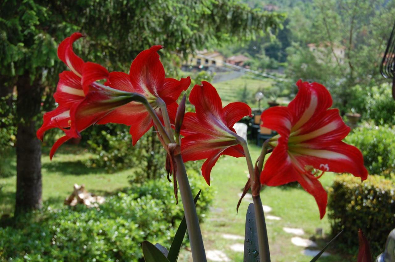 La Torretta Daire Beverino Dış mekan fotoğraf